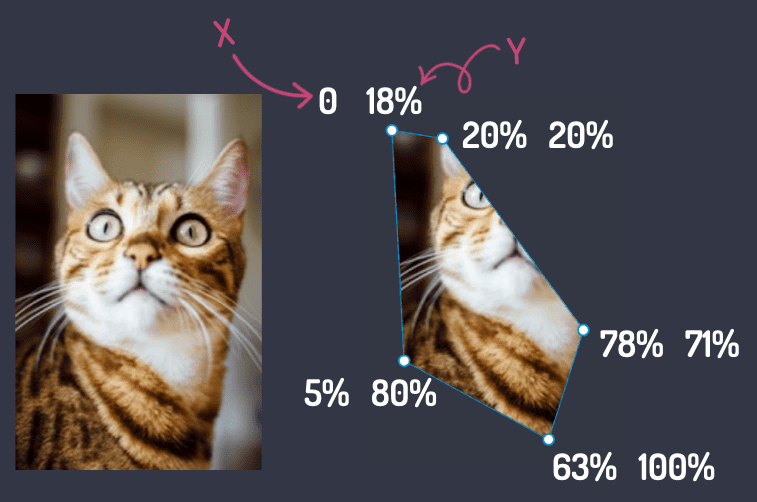 Two images of the same cat, the right image has nodes that show where the clip-path goes and adjusts the shape of the image
